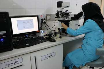 semums-en.amirhos.ivf ward 